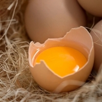 富硒散养农家土鸡蛋新鲜草鸡蛋  柴鸡蛋有机鸡蛋30枚