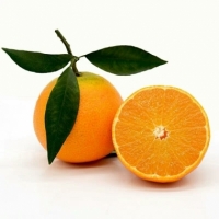 爱媛38号果冻橙可以吸的橘子现摘现发新鲜水果